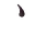 dead lancer beetle