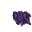 Mini Mystic Bau