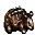 dead bear