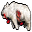 dead bear