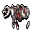 dead bear