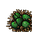 hydra eggs