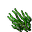 algae