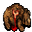 dead bear