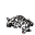 slain nightmare