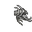 dragon head